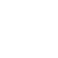 AUTOMOBILE